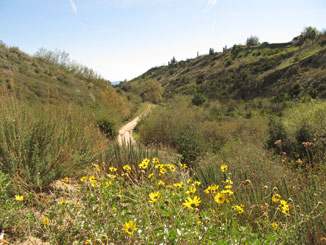 Porter Ranch Aliso Canyon